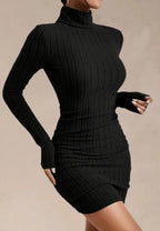 Women's Ribbed Knit Bodycon Mini Dress with High Turtleneck and Long