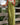 Wide Leg Linen Sleeveless Dungaree Casual Jumpsuit