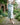 Elastic Waist Midi Skirt