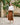 Elastic Waist Midi Skirt