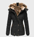 Slim Fit Padded Winter Coat with Hood – Warm Insulated Jacket