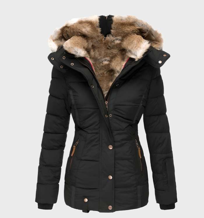 Slim Fit Padded Winter Coat with Hood – Warm Insulated Jacket