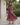 Wrap Maxi Dress with Short Sleeves