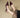 Patent Leather Slingback Sandal – Pointed Mid-Heel | Meave & Ivy