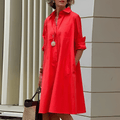 Lapel Collar Elegant Silhouette Autumn Dress | Meave & Ivy