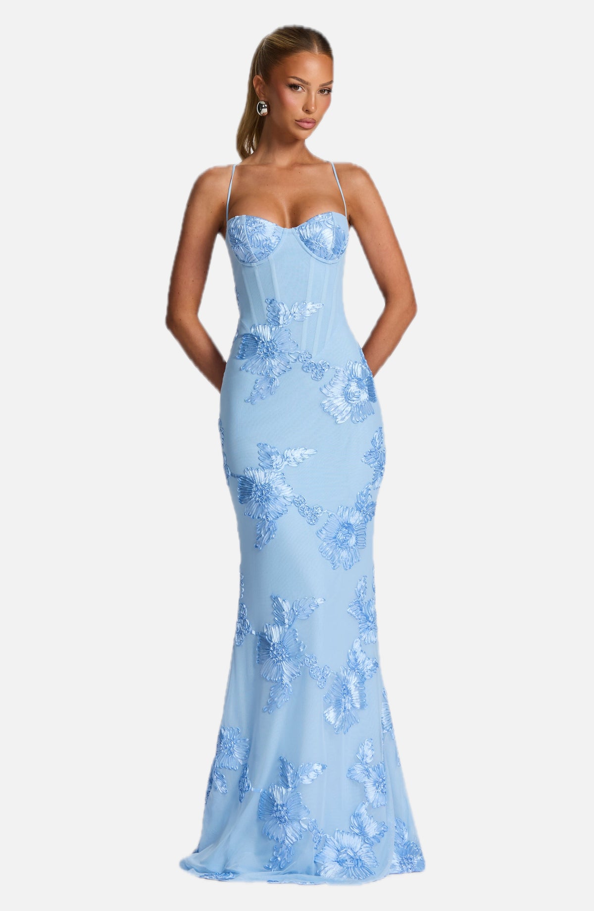Blue Floral Appliqué Corset Maxi Dress – Glacier Statement Gown | Meave & Ivy