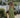Green Pleated Corset Maxi Dress – Elegant Evening Gown | Meave & Ivy