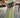 Green Pleated Maxi Dress – Elegant Flowy Evening Dress | Meave & Ivy