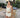White Hollow Out Backless Dress – Women's Summer Party Dress