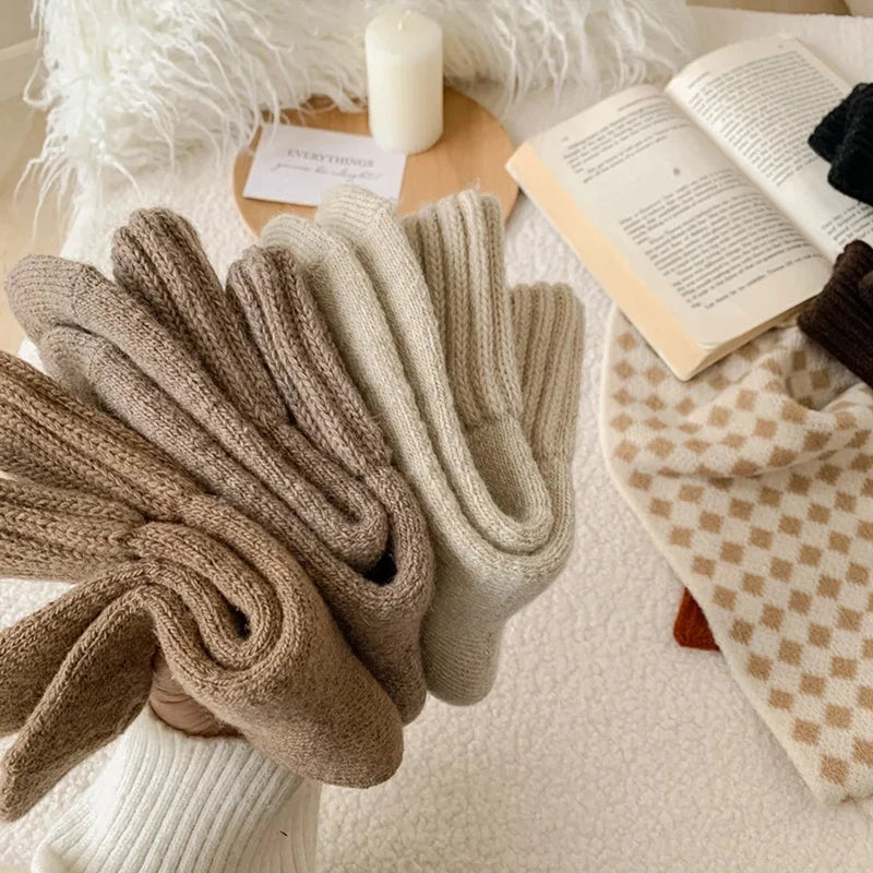 Thermal Fleece Lined Plush Socks – 5 Pair Mix Pack